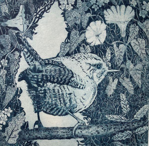 Etching - Wren in the Hedgerow - Unframed