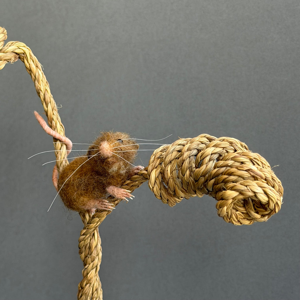 Needle Felted Mouse ‘Toppy’ on a Curled Rope & Terracotta Pot