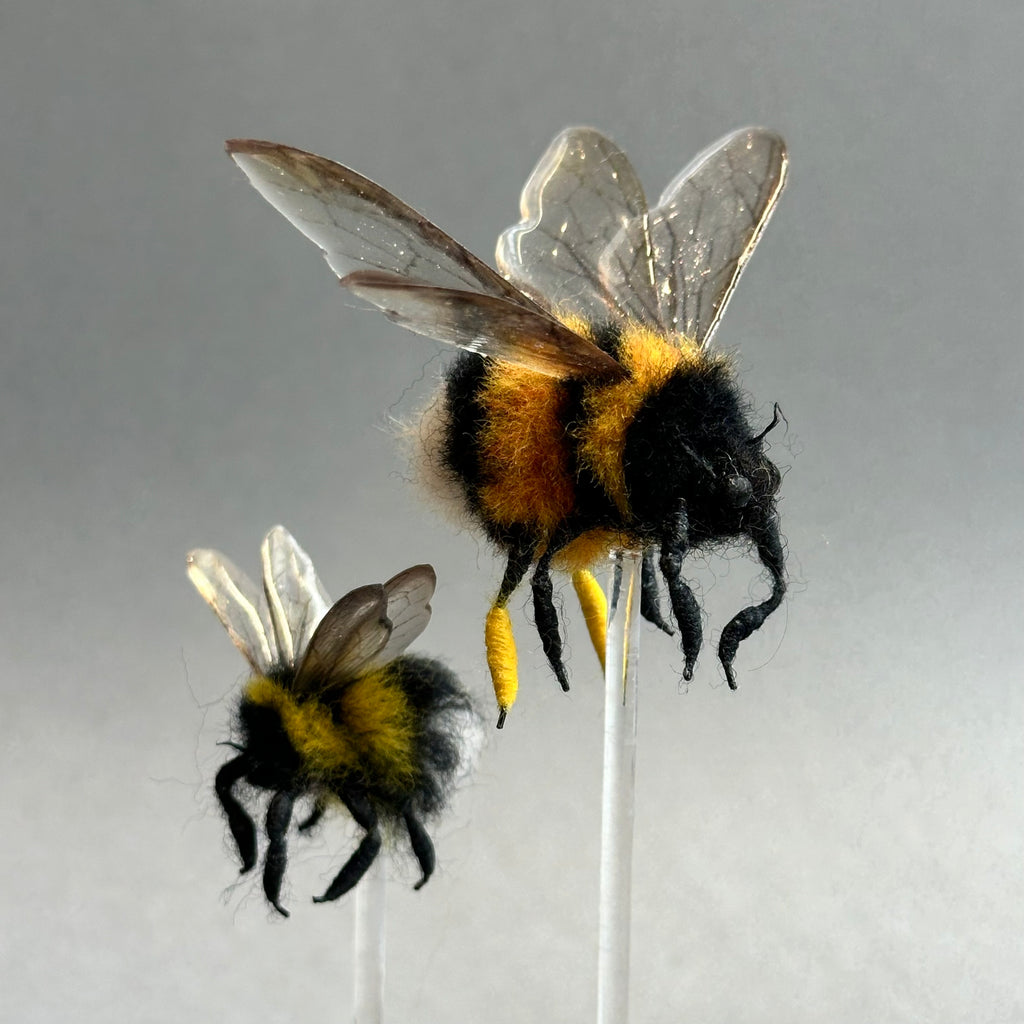 Needle Felted ‘Two Bumble Bees Under a Dome’
