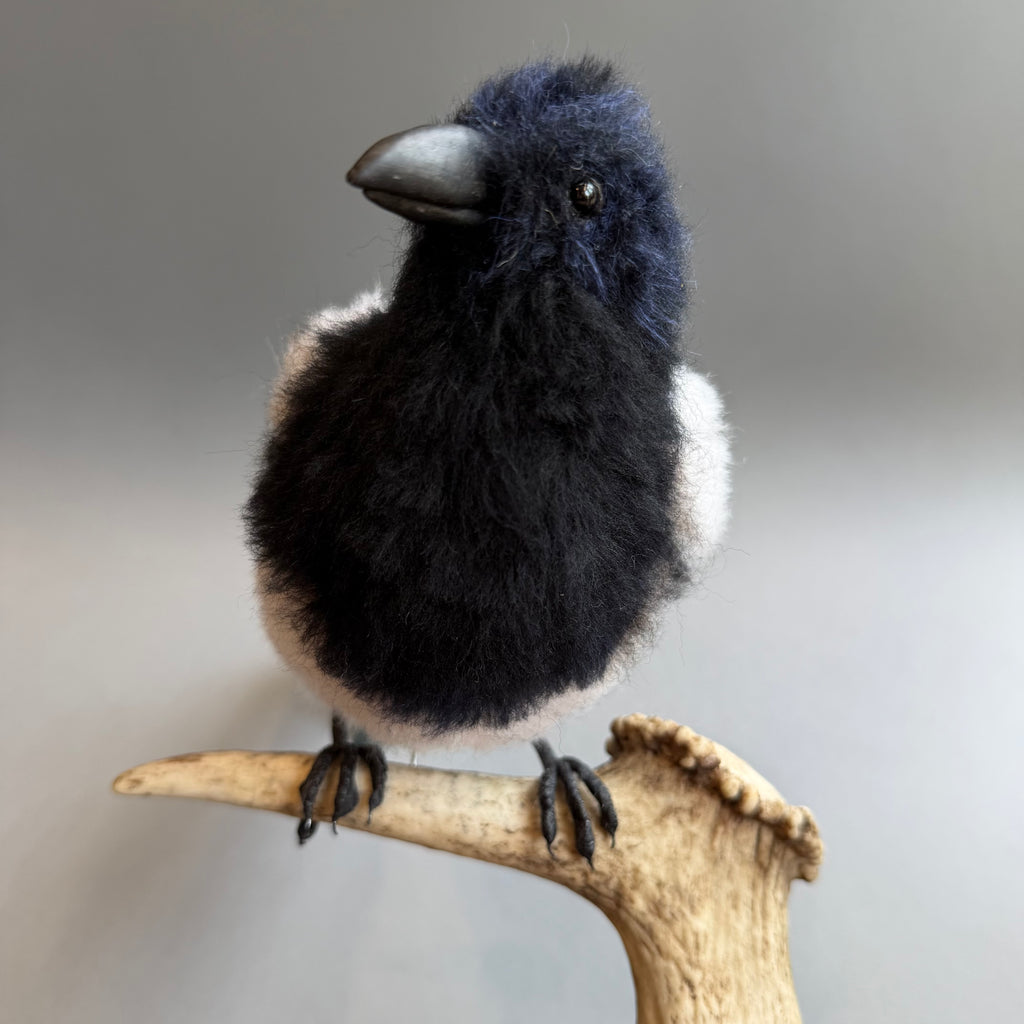 Needle Felted Magpie on Horn ‘Morgana’