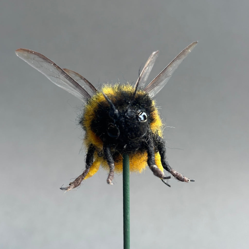 Needle Felted ‘Large Bumble Bee Under a Dome’