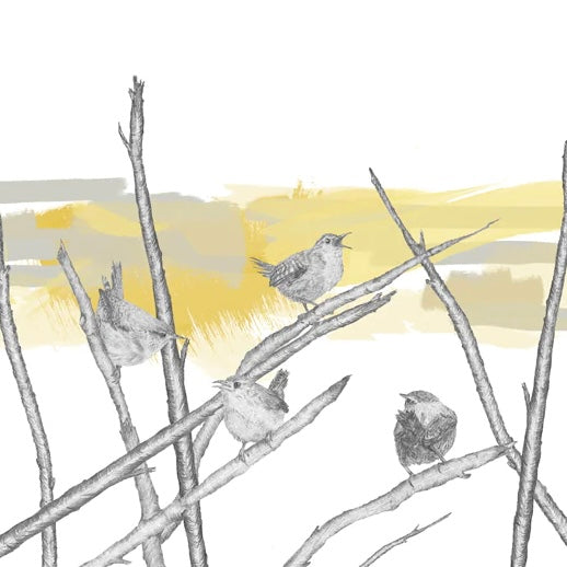 Candle Cover 'Wrens’