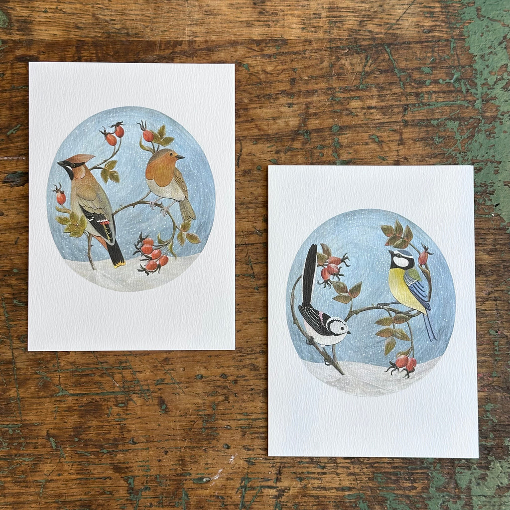 Notecards - Alice Melvin - Waxwing & Robin/Long-Tailed Tit & Blue Tit
