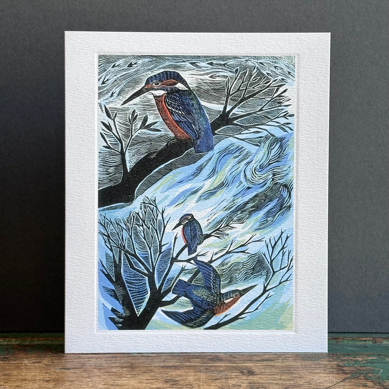 G/Card - Angela Harding - Suffolk Kingfishers