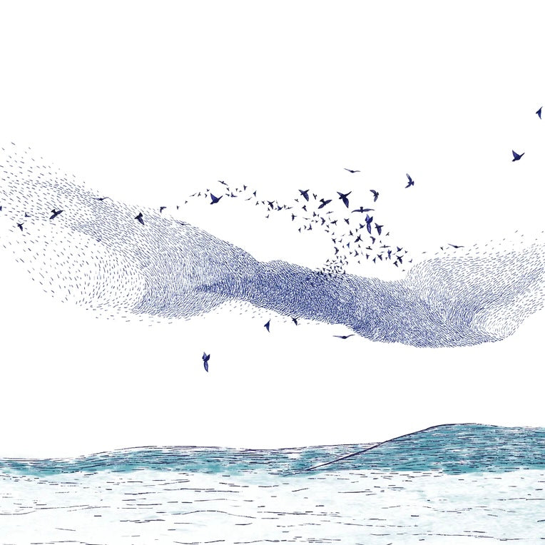 20cm Lamp Shade ‘Murmuration'