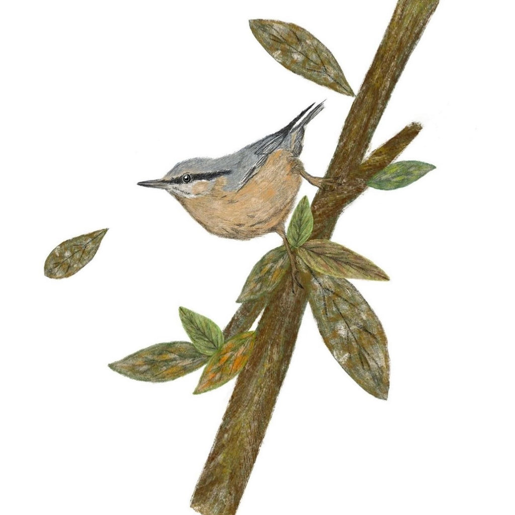 30cm Lamp Shade 'Nuthatch’