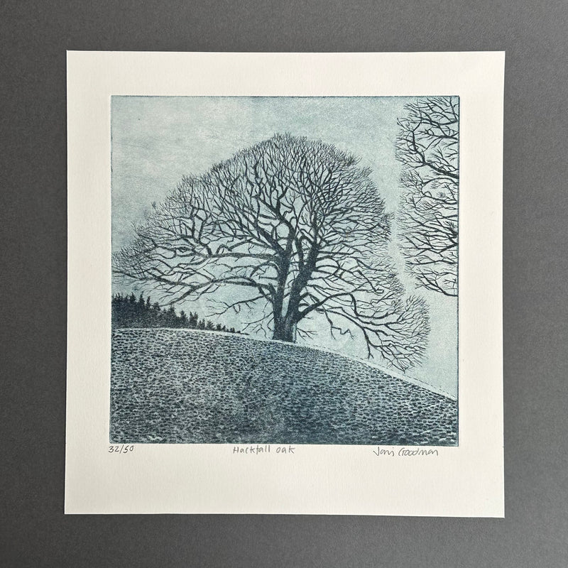 Etching - Hackfall Oak - Unframed