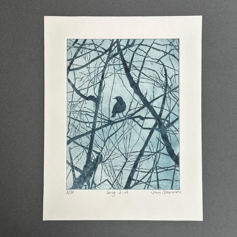 Etching - Song Bird - Unframed