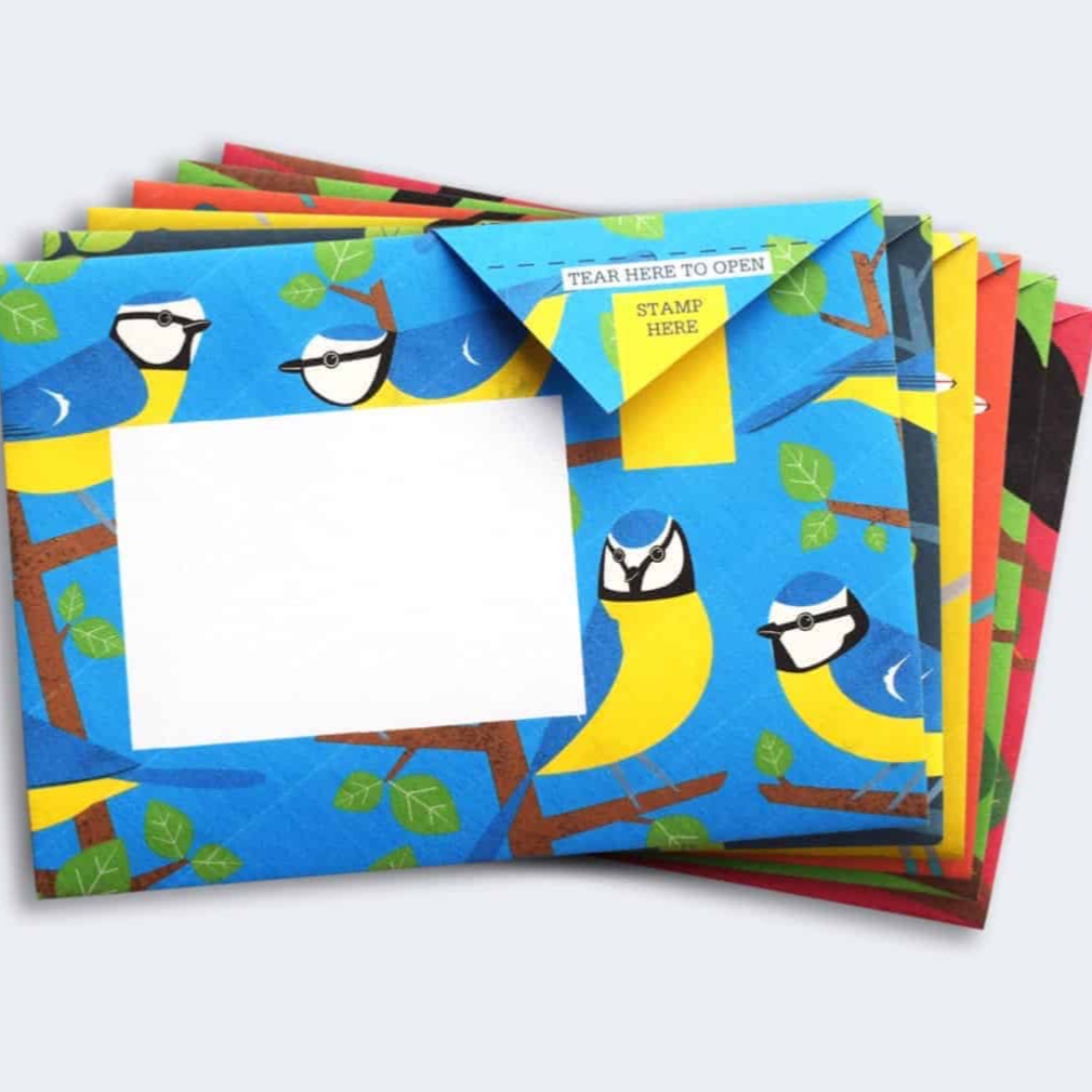 Pigeon Posted ‘Dawn Chorus’