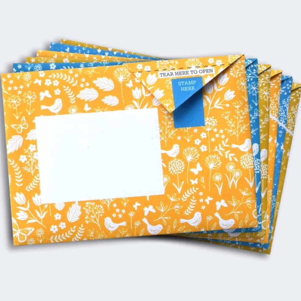 Pigeon Posted ‘Summer Meadow’