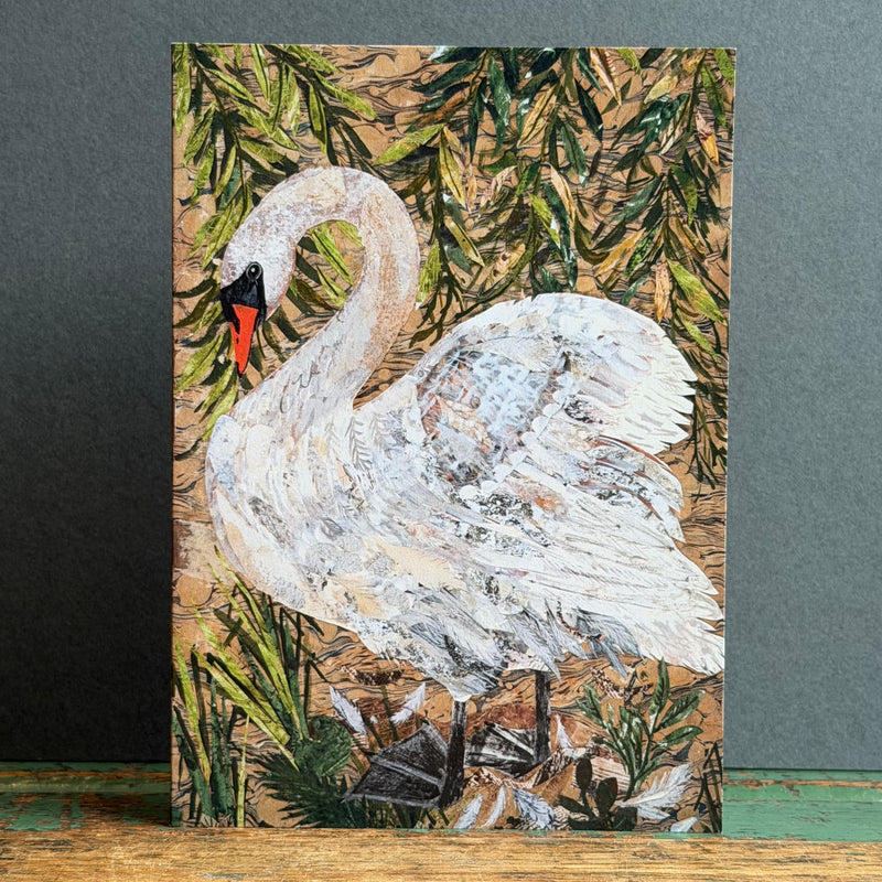 G/Card - A6 - Summer Swan
