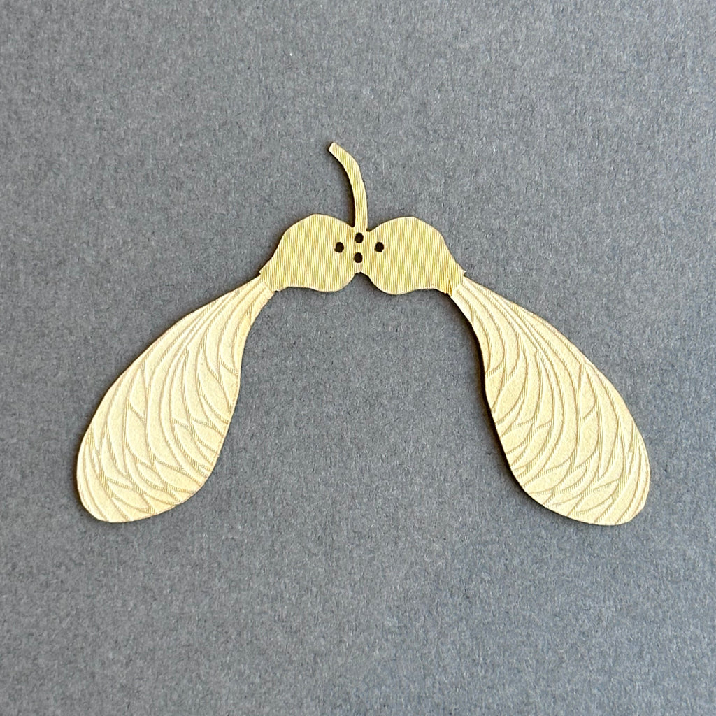 Individual Golden Sycamore Seed