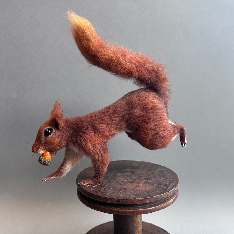 Needle Felted Squirrel ’Sebastian’