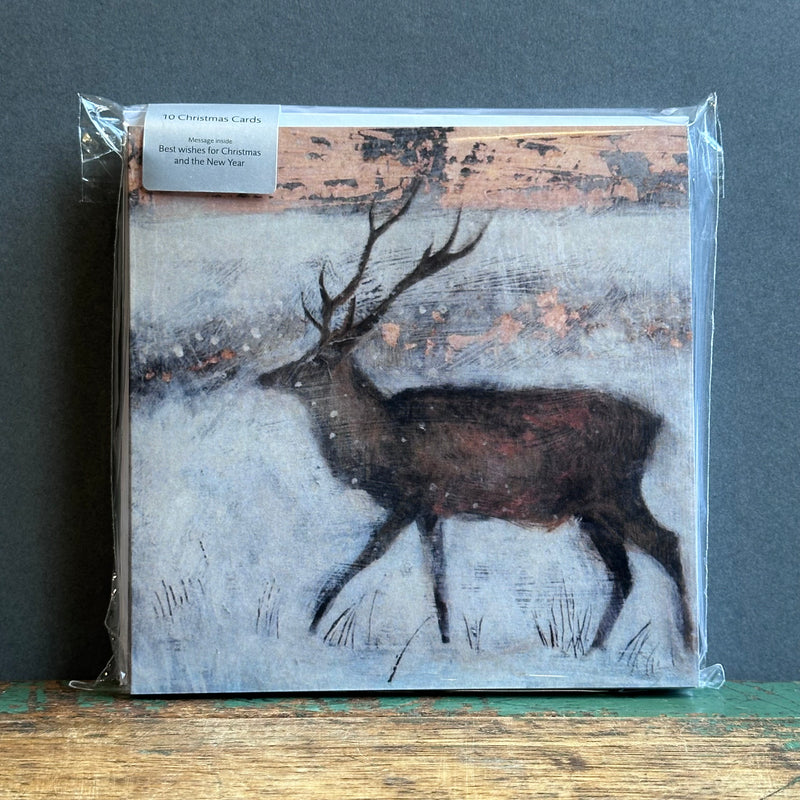 Christmas Card Pack - Set of 10 - Catherine Hyde - Ice Filled Air