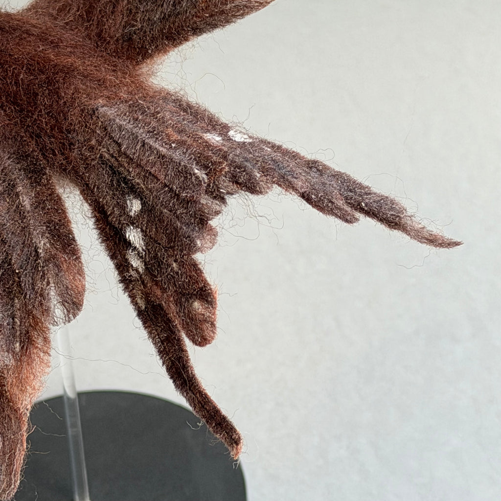 Needle Felted Swift in Flight
