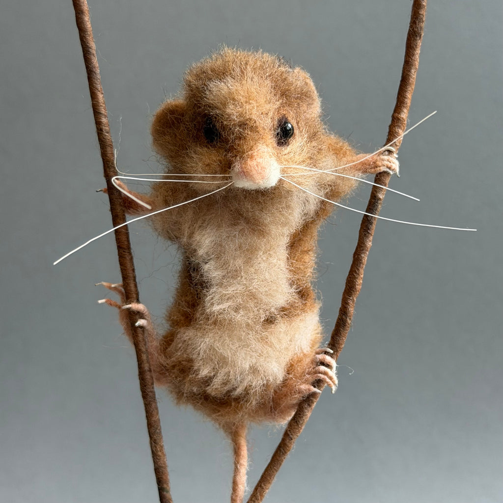 Needle Felted ‘Wilbur’ Mouse with Poppy Seedheads