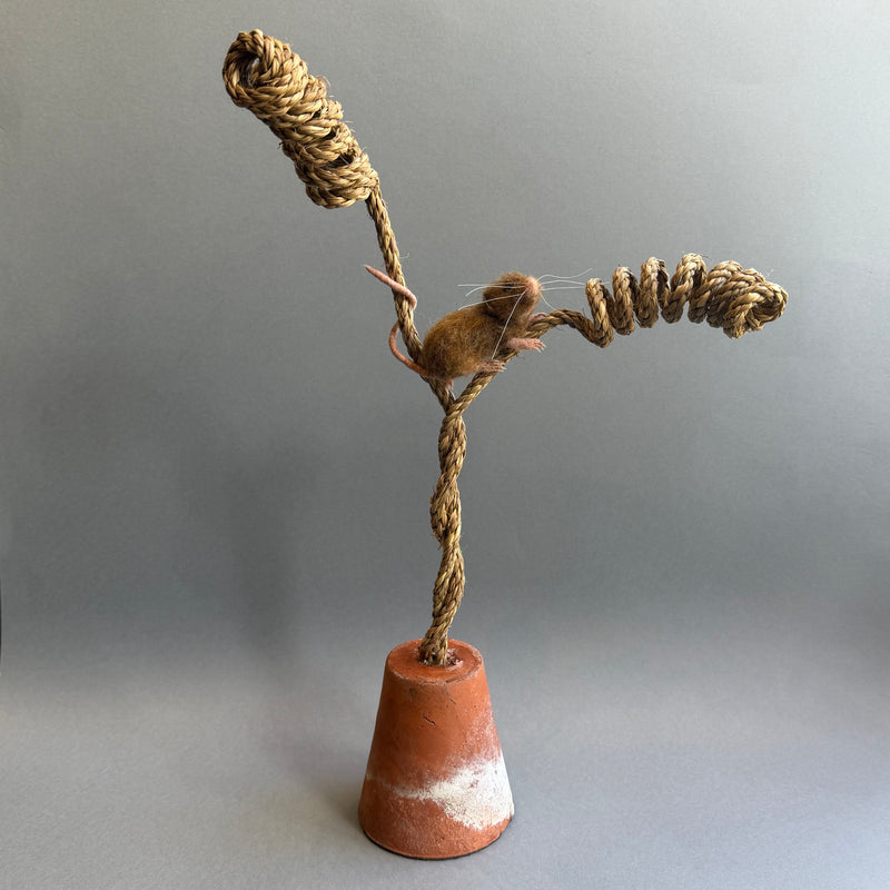 Needle Felted Mouse ‘Toppy’ on a Curled Rope & Terracotta Pot