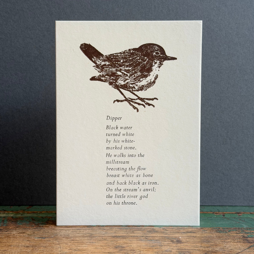 Letterpress Bird G/Card - Dipper