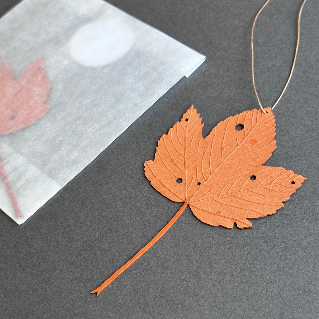 Single Sycamore Leaf - Orange