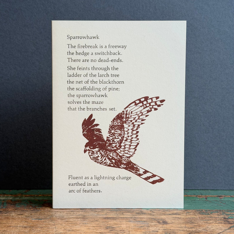 Letterpress Bird G/Card - Sparrowhawk