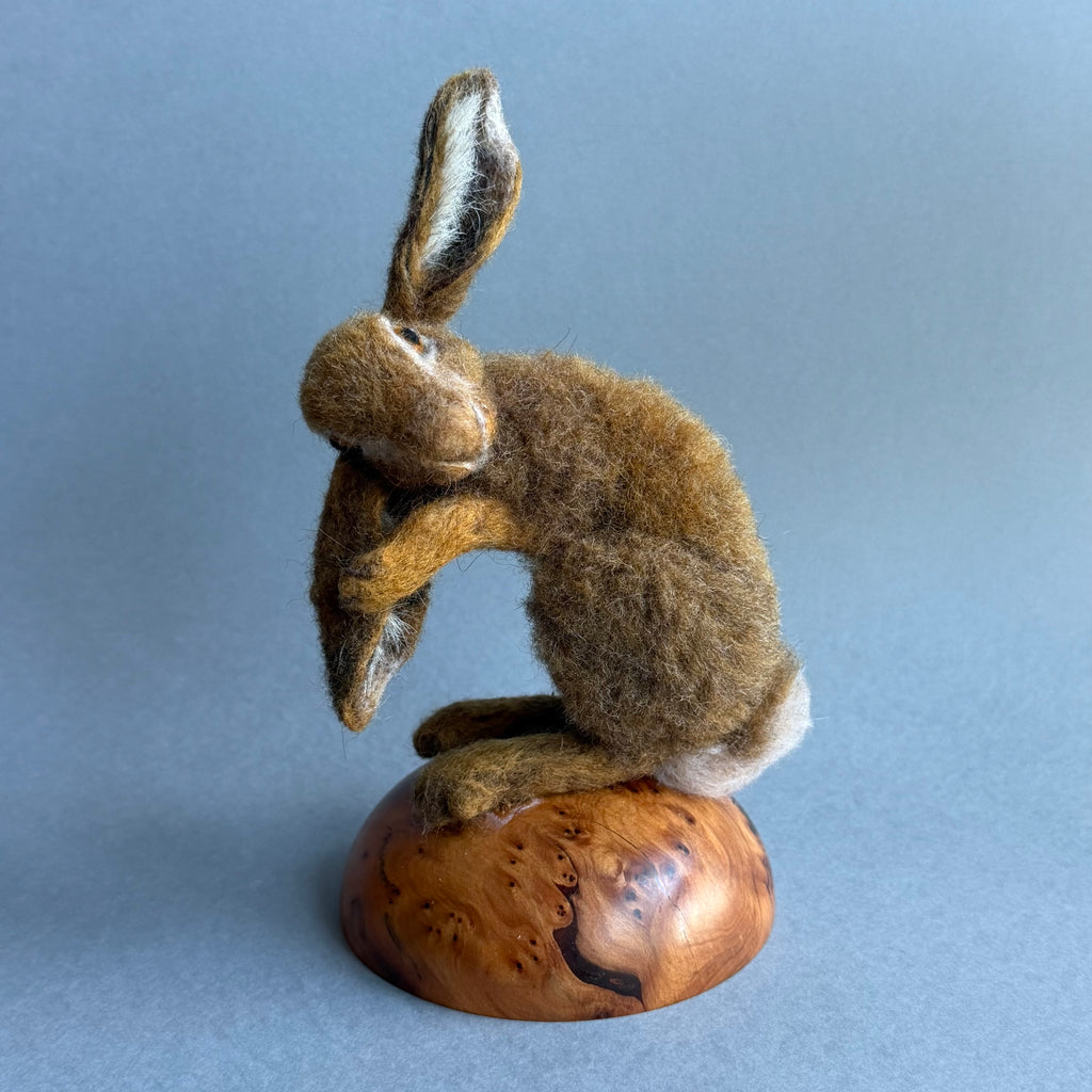 Needle Felted Hare ‘Willow’ on a Burr Plinth #156