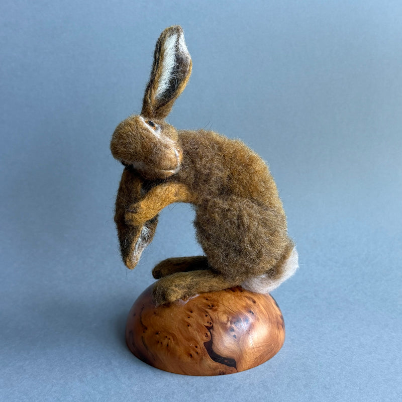 Needle Felted Hare ‘Willow’ on a Burr Plinth #156