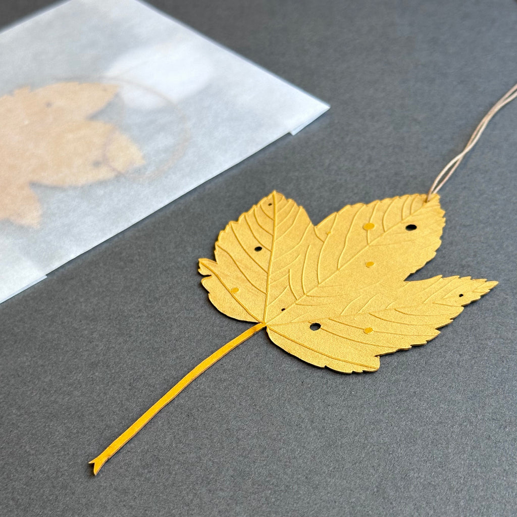 Single Sycamore Leaf - Yellow