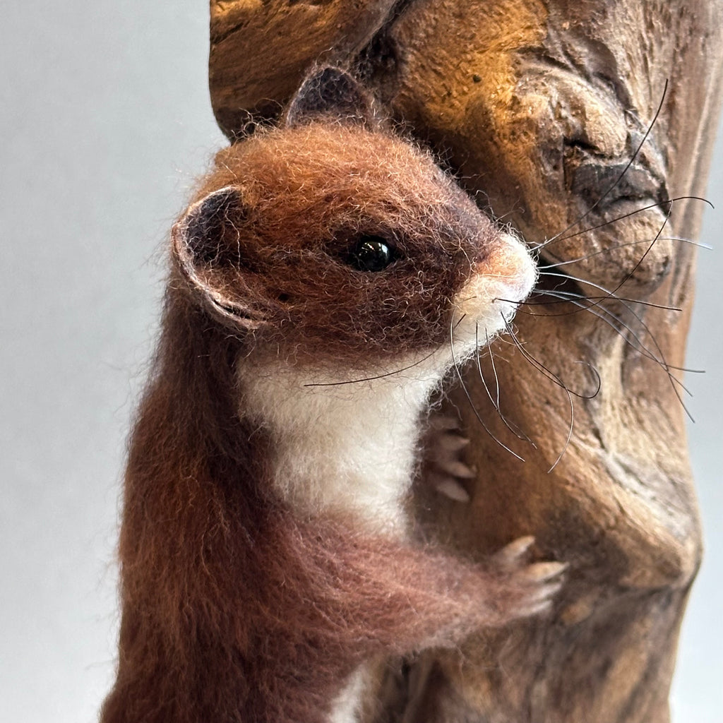 Needle Felted Weazel ‘Willy’ on Diftwood