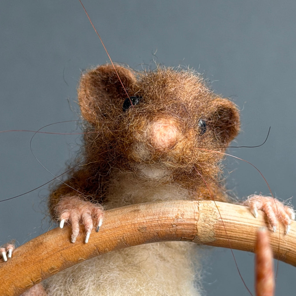 Needle Felted Mouse ‘Brooke’ on a Ceramic Teapot