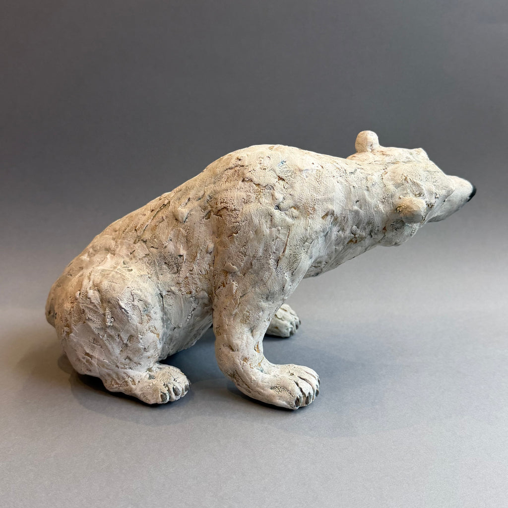 Polar Bear [Seated]