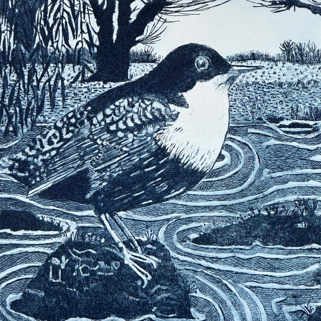 Etching - Dipper - Unframed