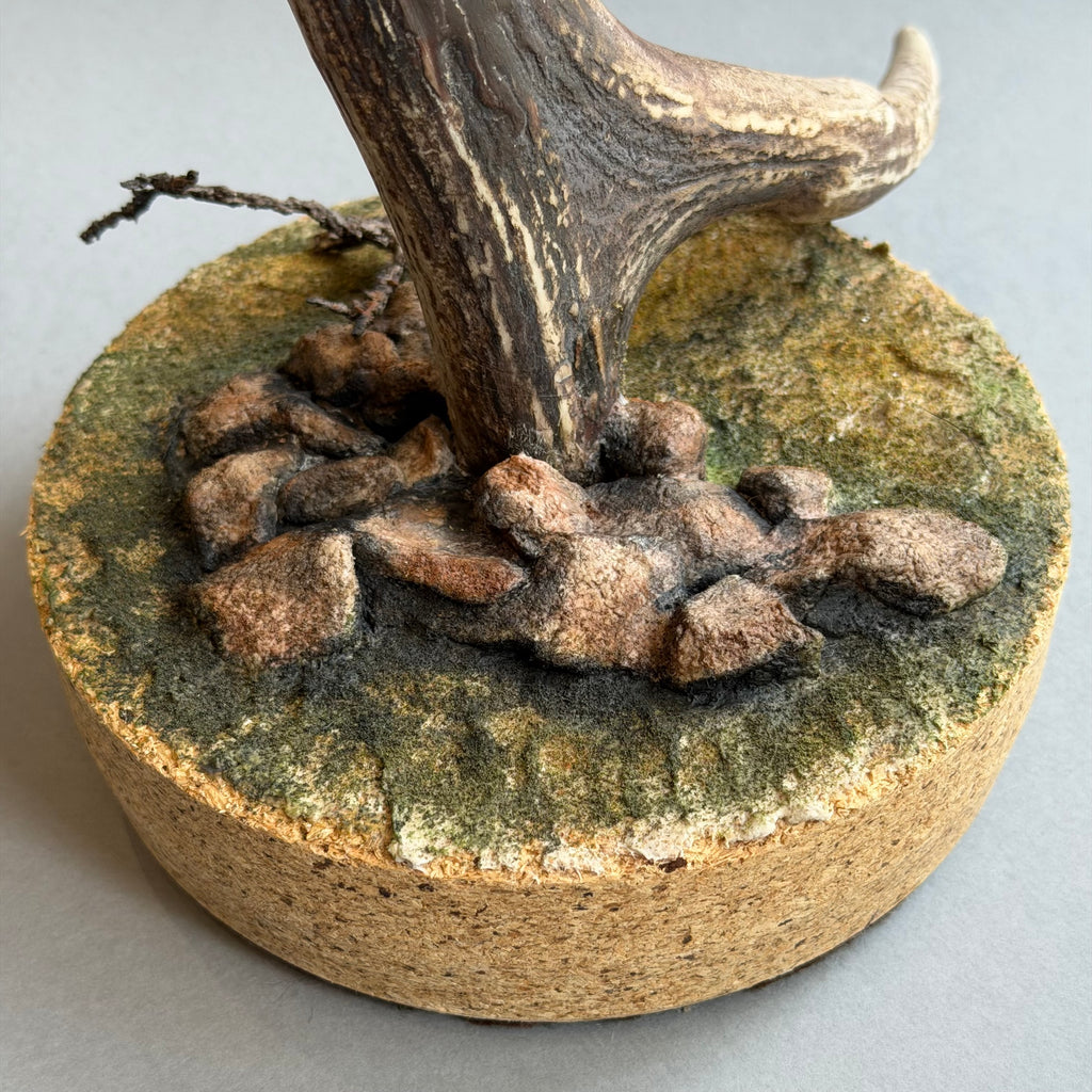 Needle Felted Magpie on Horn ‘Morgana’