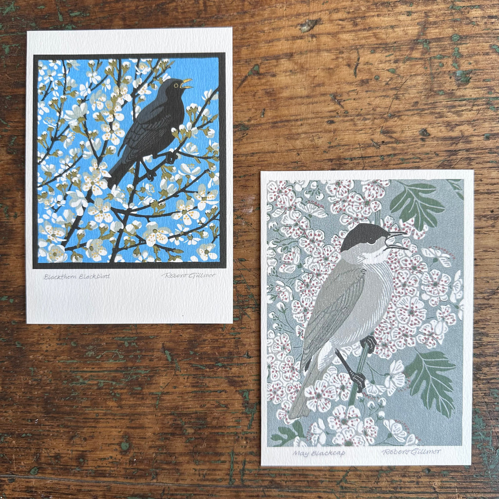 Notecards - Robert Gillmor - Blackthorn Blackbird/May Blackcap