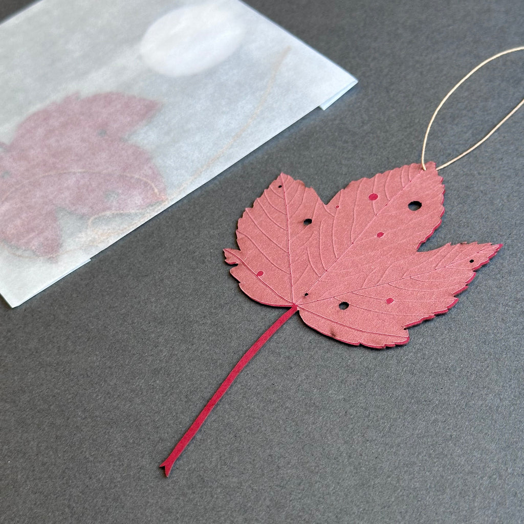 Single Sycamore Leaf - Scarlet