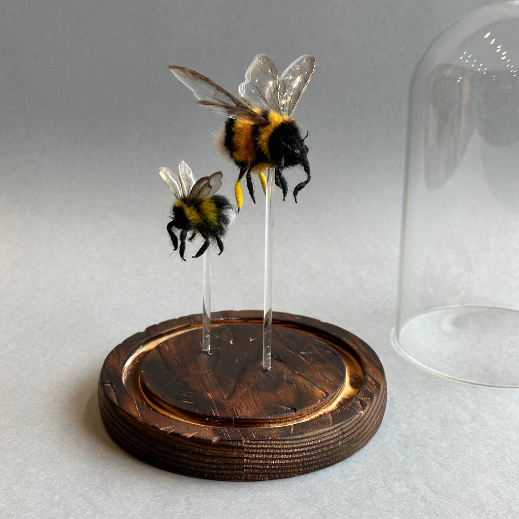 Needle Felted ‘Two Bumble Bees Under a Dome’