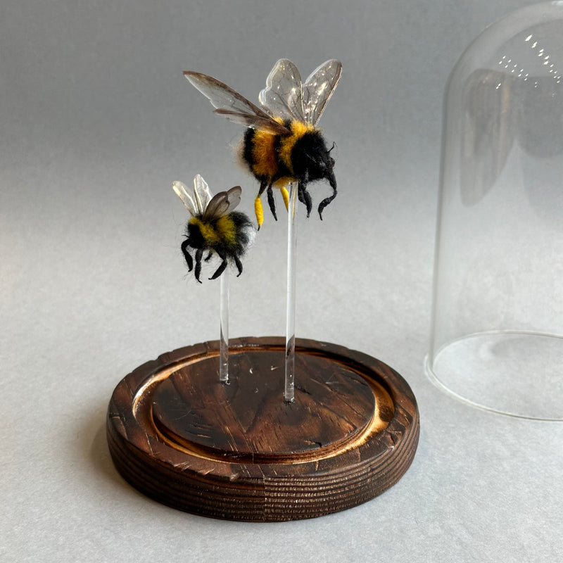 Needle Felted ‘Two Bumble Bees Under a Dome’