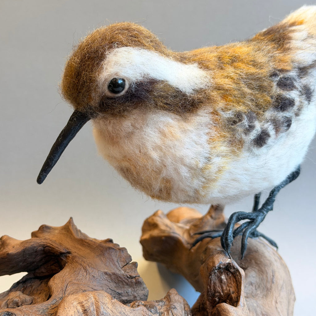 Needle Felted Little Stint on Bogwood