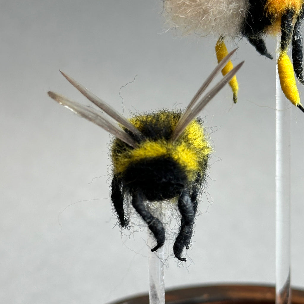 Needle Felted ‘Two Bumble Bees Under a Dome’