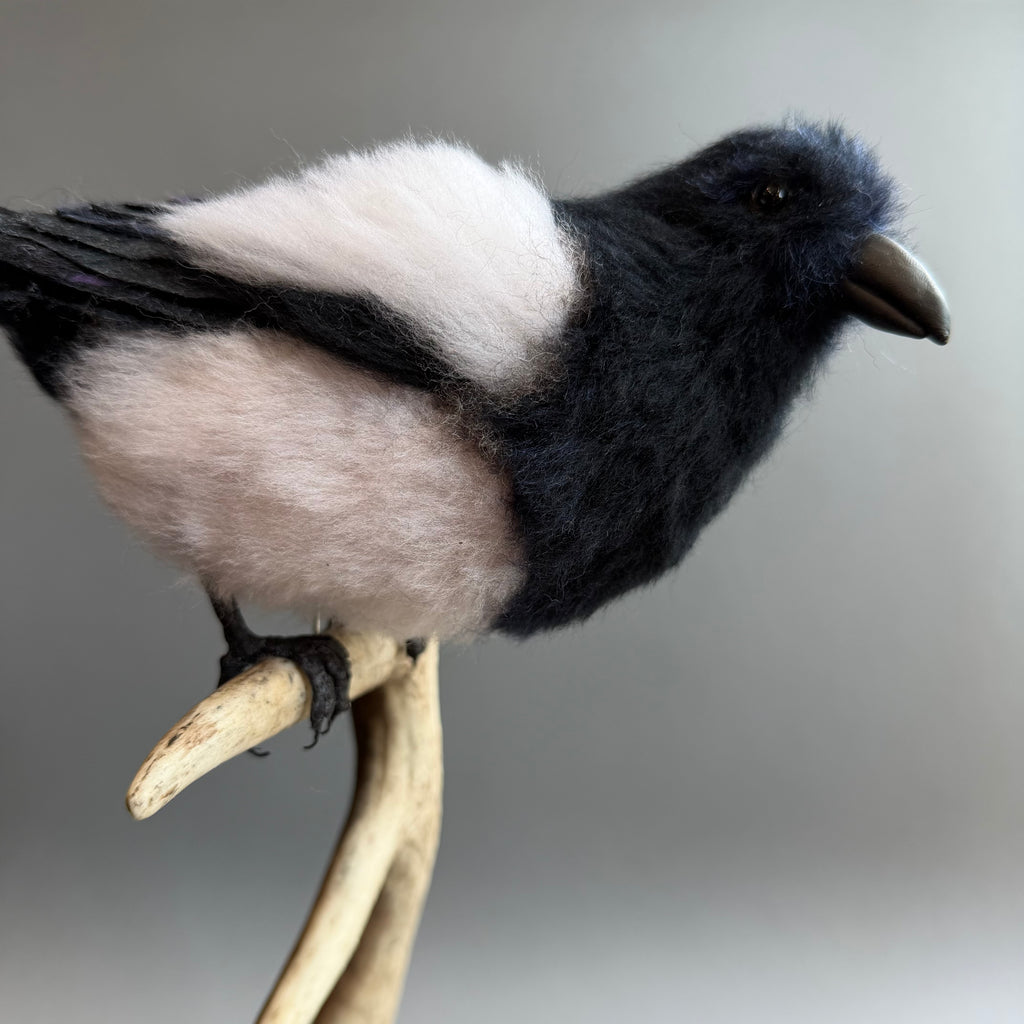 Needle Felted Magpie on Horn ‘Morgana’