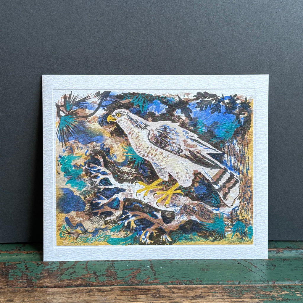 G/Card - Mark Hearld - Hawk Eye