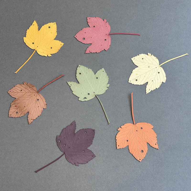 Hanging Decoration Set - Sycamore Leaves [7]