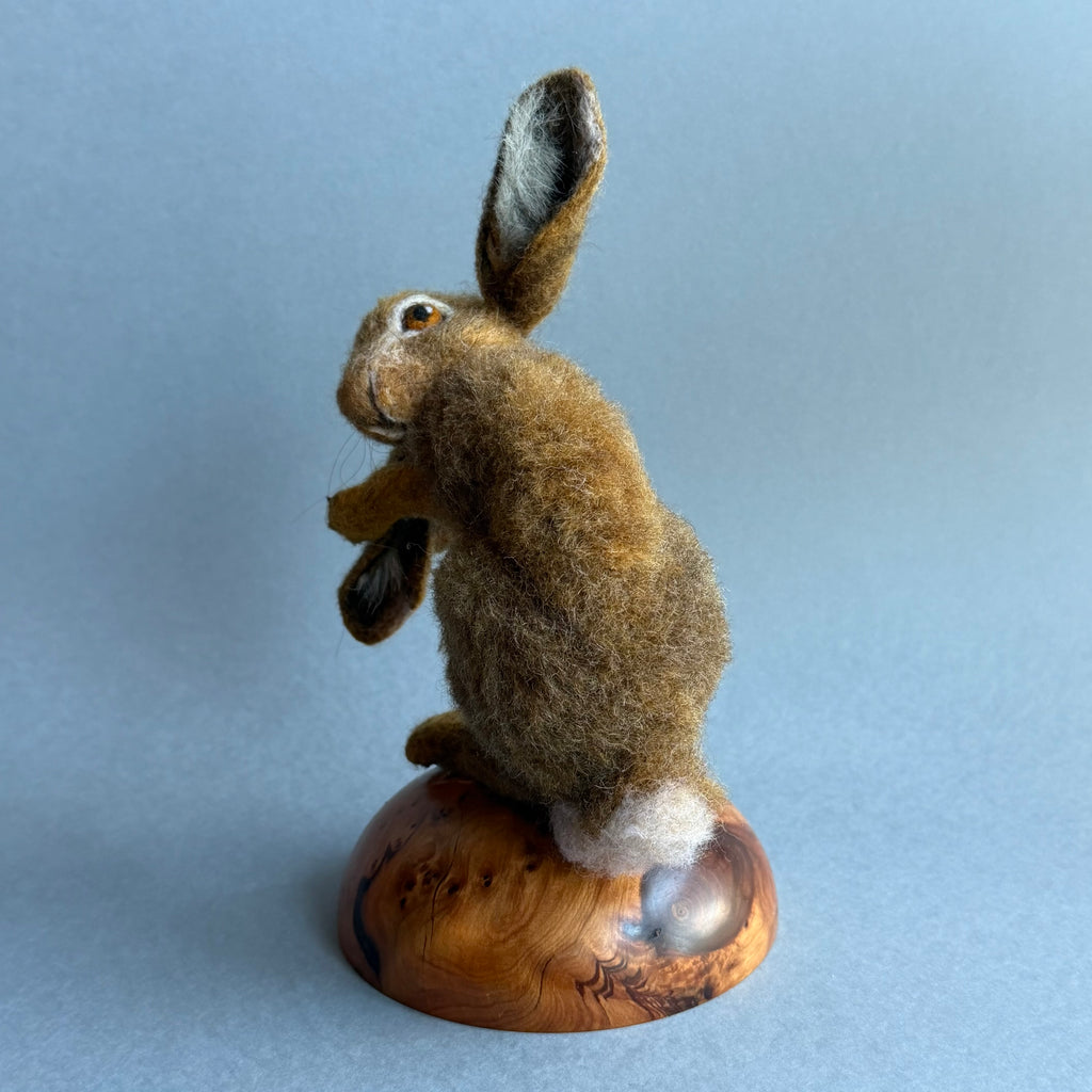 Needle Felted Hare ‘Willow’ on a Burr Plinth #156