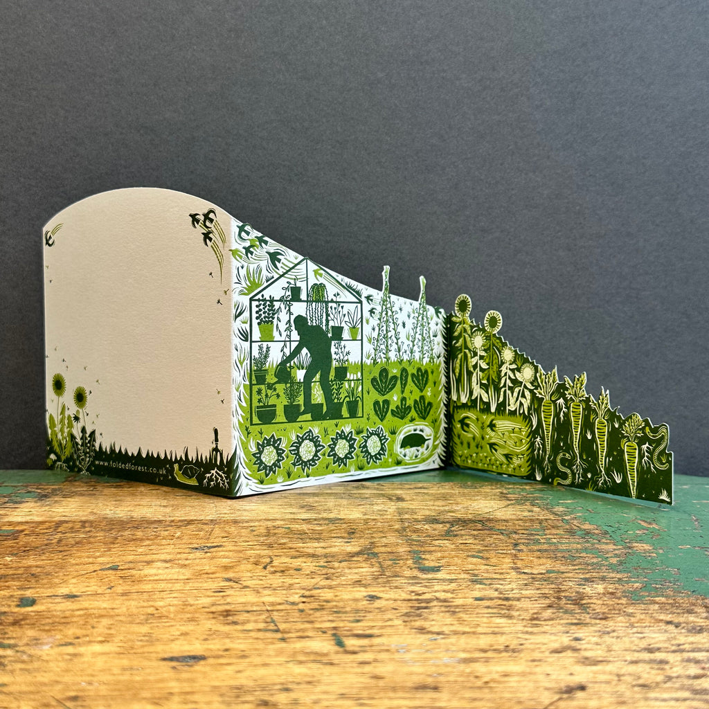 Concertina G/Card - Folded Forest - Allotment