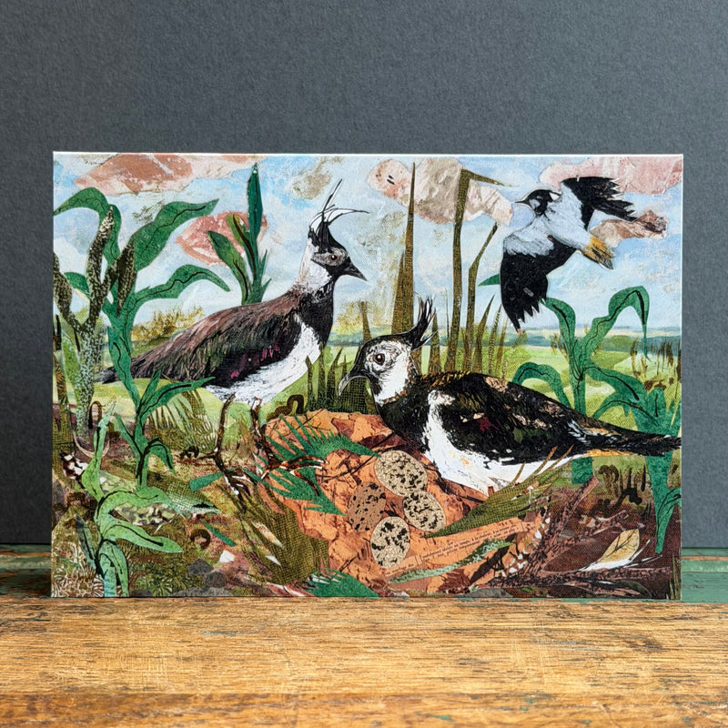 G/Card - A6 - Lapwing Nest