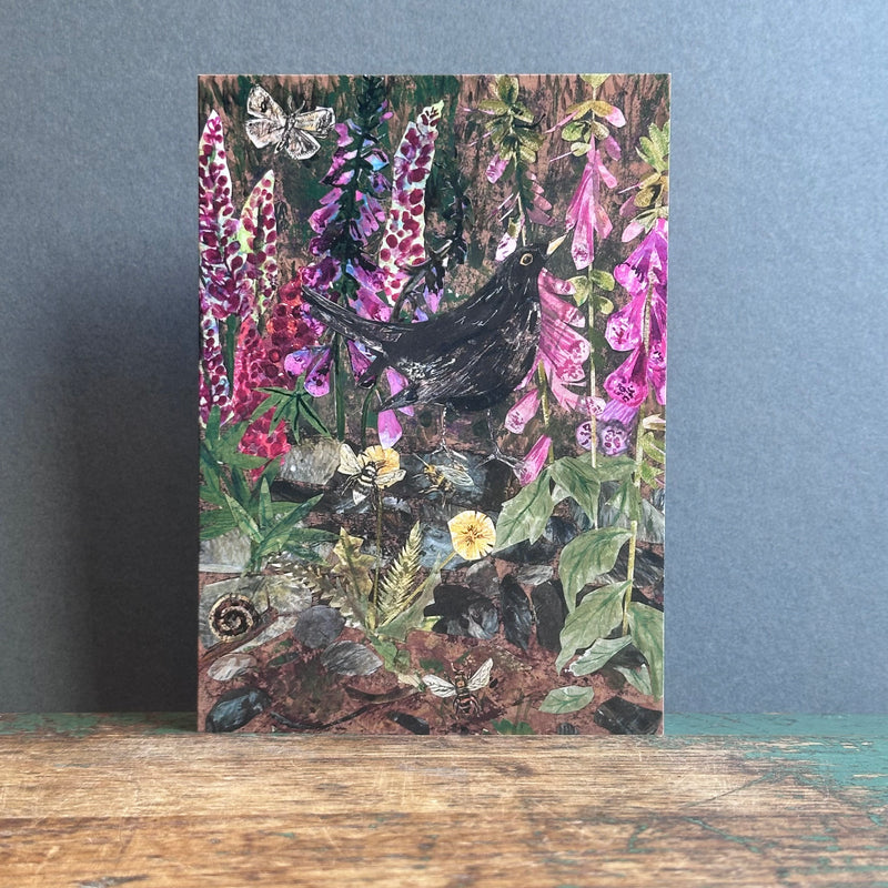 G/Card - A6 - Blackbird in Foxgloves