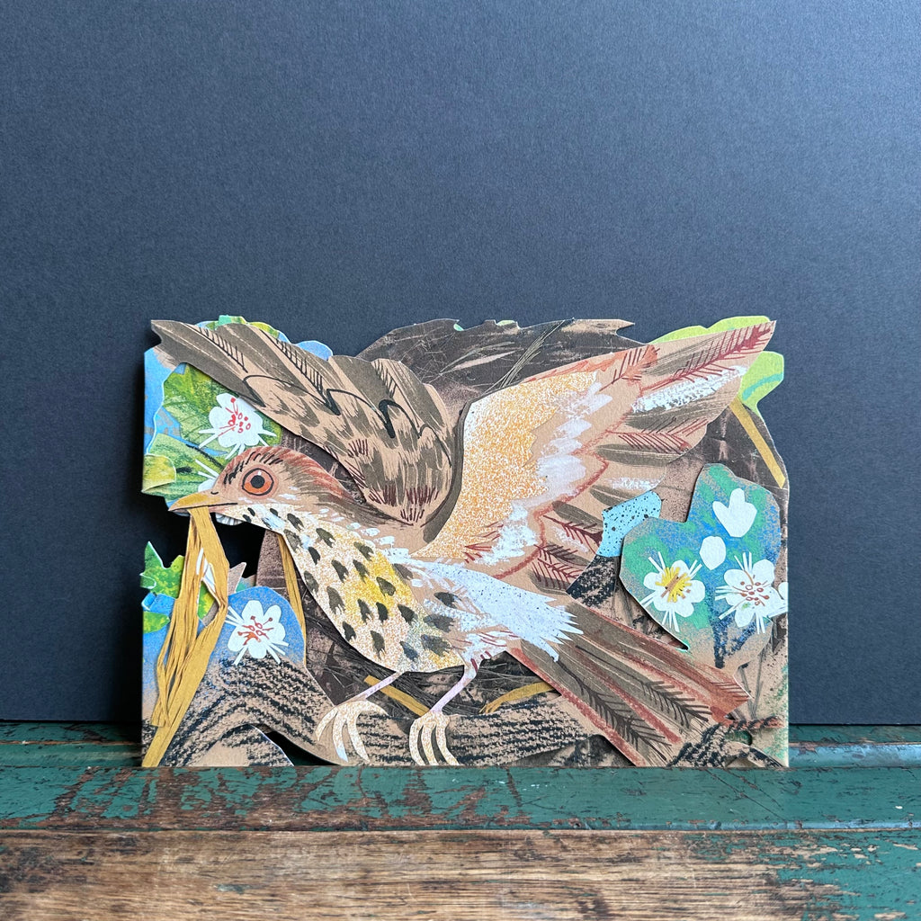 Tri Fold Card - Mark Hearld - Thrush Nest