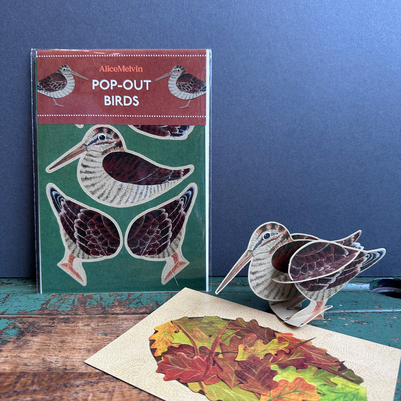 Pop-Out Card - Alice Melvin - Woodcock