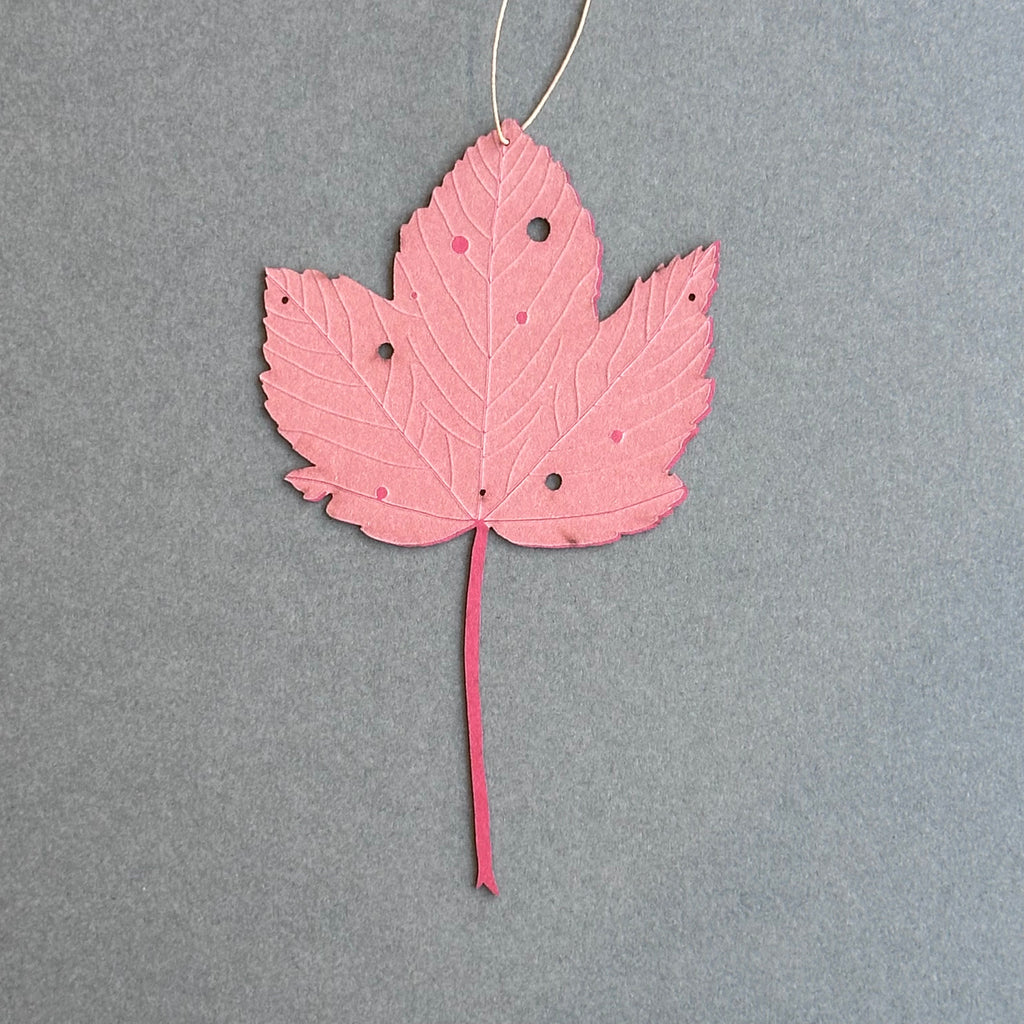 Single Sycamore Leaf - Scarlet