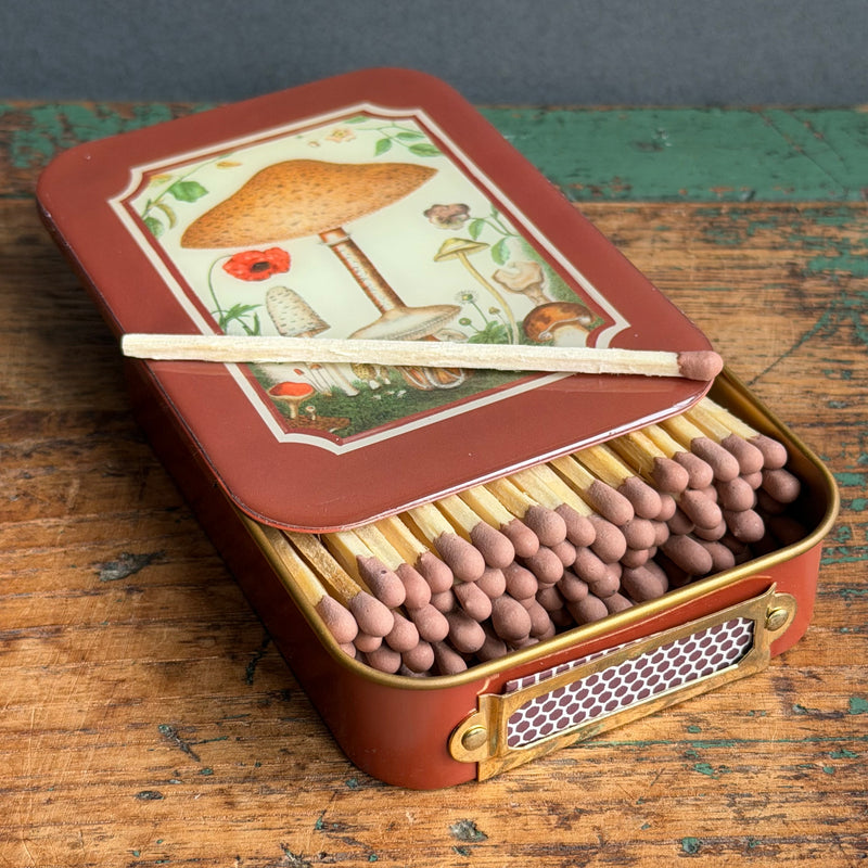 Matches in a Tin  - Fungi