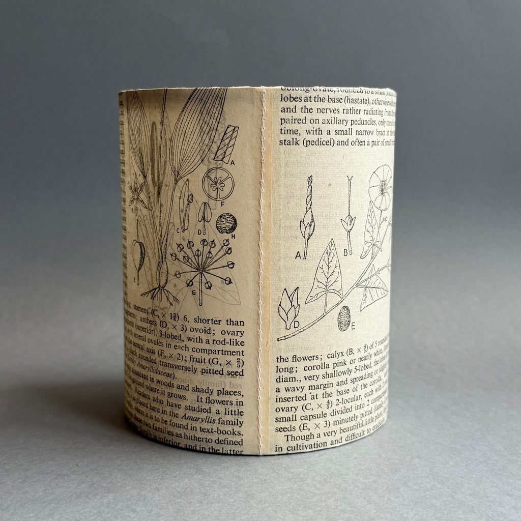 Stitched Paper Lantern - Wildflower Picot